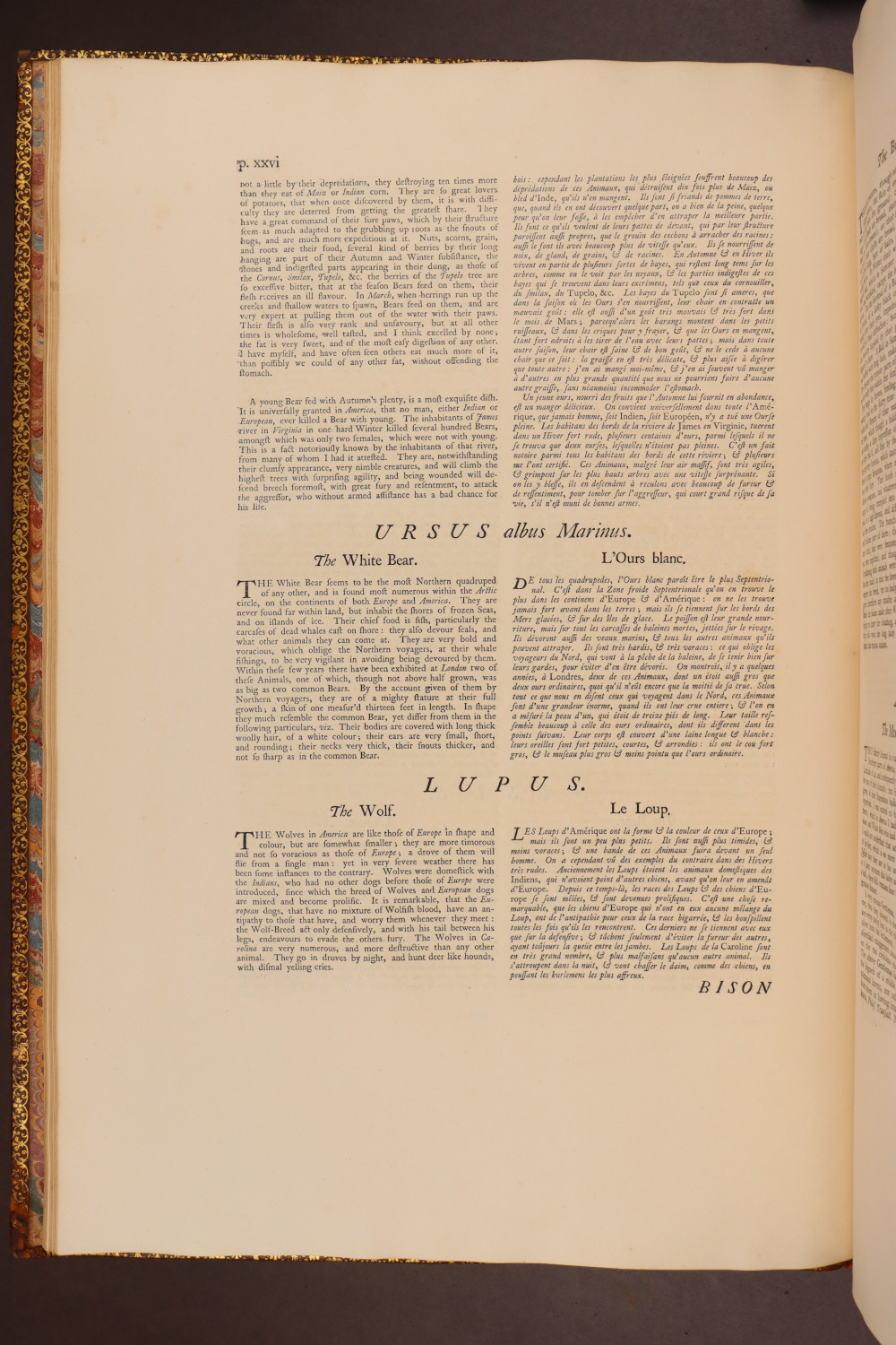 Page xxvi